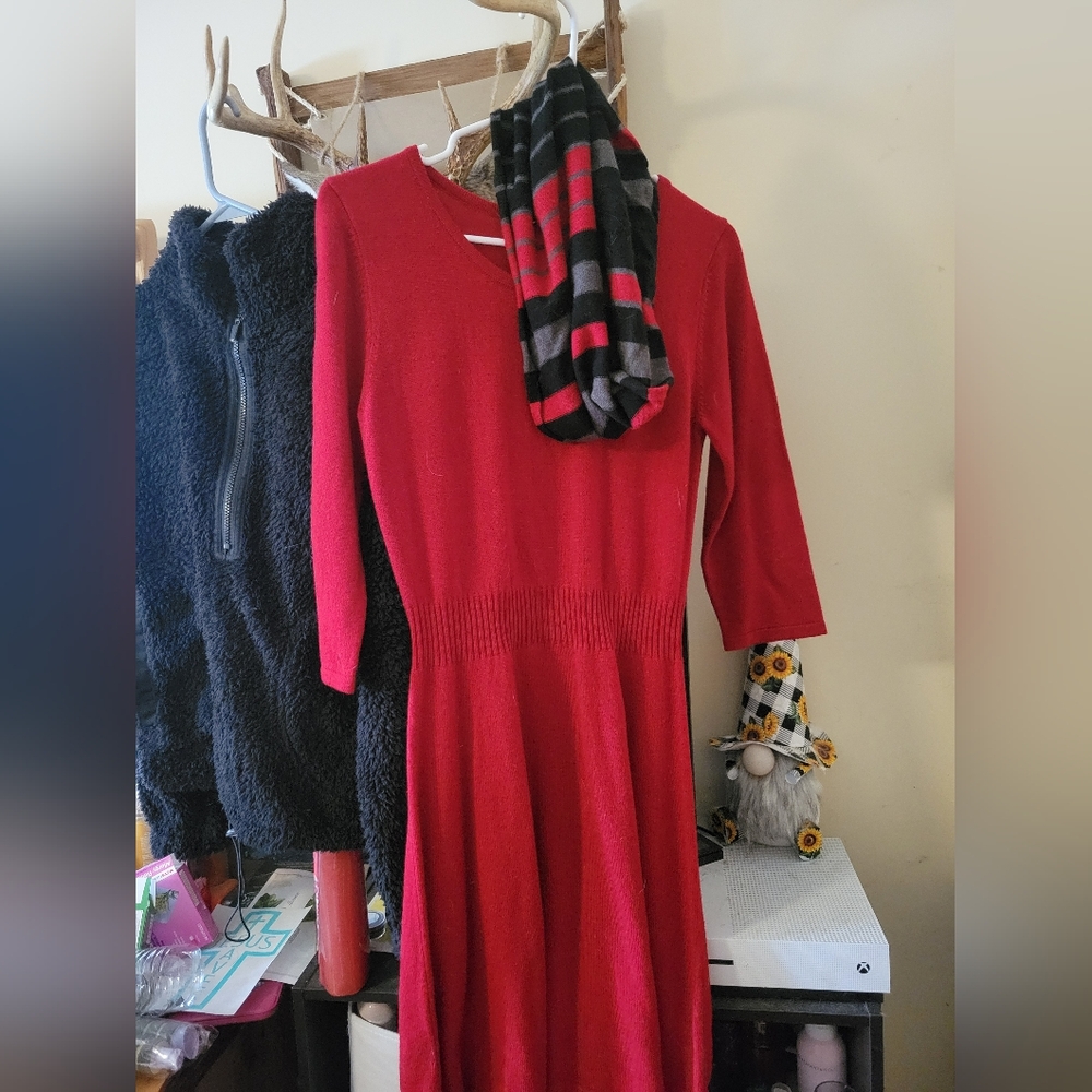 IZ Byer sweater dress